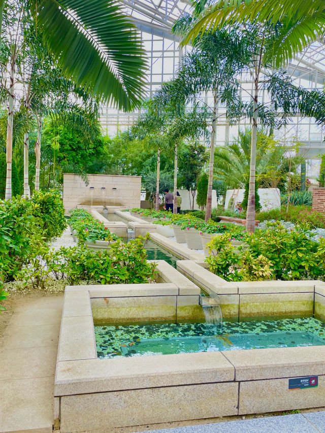 키치조지에서 우연히 찾은 도심 속 식물원 🌿 키치조지에서 우연히 찾은 도심 속 식물원 🌿