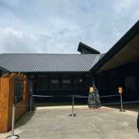 Auckland Zoo: ครึ่งวันที่เต็มไปด้วยความสนุกสนาน