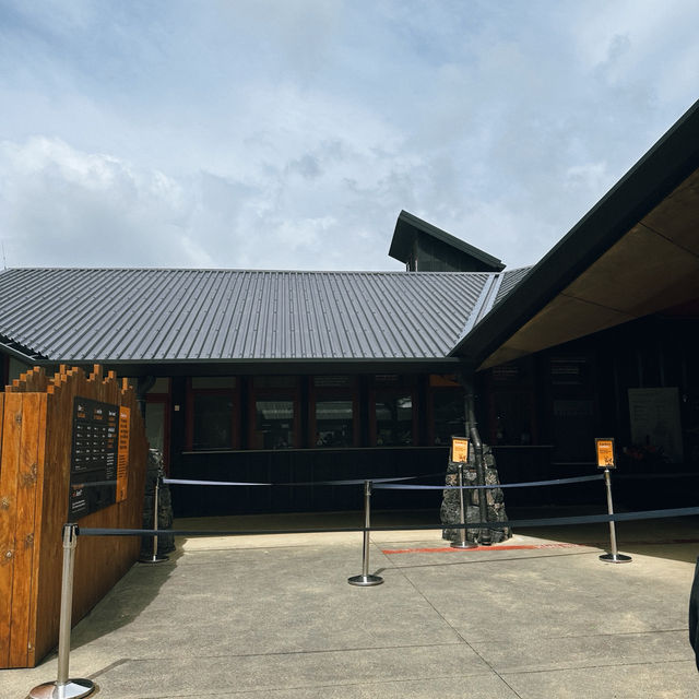 Auckland Zoo: ครึ่งวันที่เต็มไปด้วยความสนุกสนาน Auckland Zoo: ครึ่งวันที่เต็มไปด้วยความสนุกสนาน