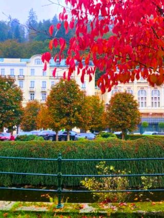 Karlovy Vary Dream🍁