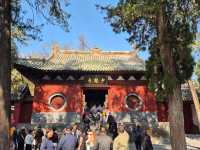 วัดเส้าหลิน — ต้นกำเนิดกังฟูระดับตำนานที่ต้องมา