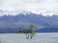 カレンダーで見たことある！？｜ワナカツリー🌲
