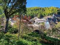 A Mountain Retreat Shrouded by Bamboo