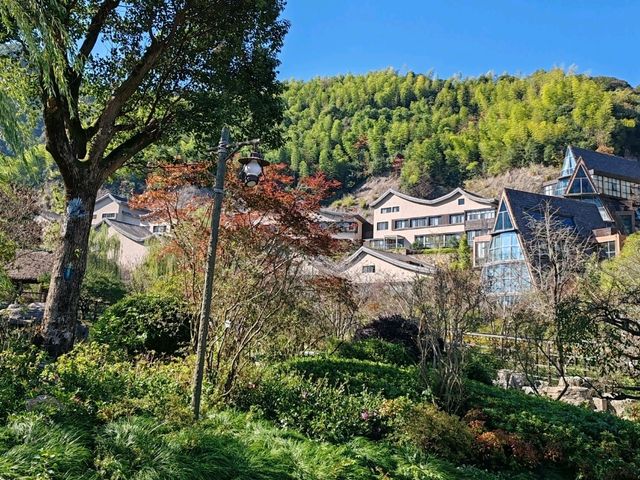A Mountain Retreat Shrouded by Bamboo