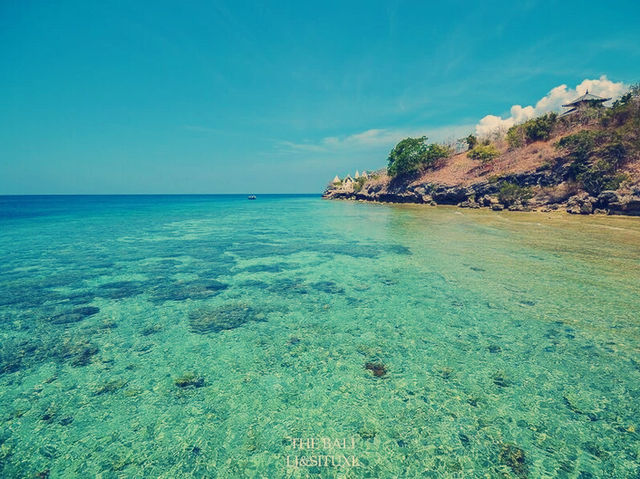 印尼🇮🇩門姜岸島