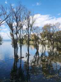 “The Shimmering Blue Jewel of Dali”