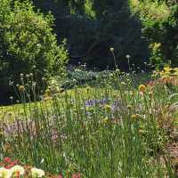 Queen Elizabeth Park