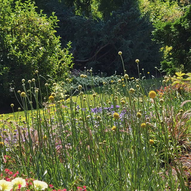 Queen Elizabeth Park Queen Elizabeth Park