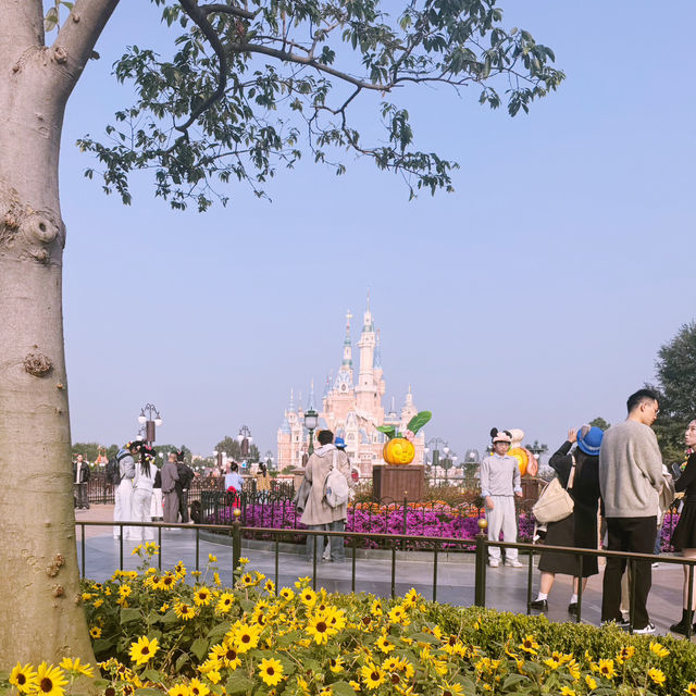 แพลนเที่ยวเซี่ยงไฮ้ดิสนีย์แลนด์ 1 วัน แพลนเที่ยวเซี่ยงไฮ้ดิสนีย์แลนด์ 1 วัน
