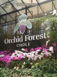 Bandung - Kota Kembang