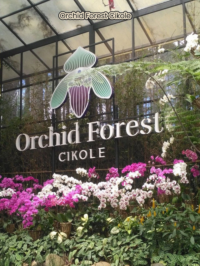 Bandung - Kota Kembang Bandung - Kota Kembang