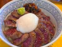 ​[구마모토 근교] 뚜벅이도 OK! 아소 산 버스 투어 & 아소 신사 맛집 '하나비시' 아카규동 먹방 🌋