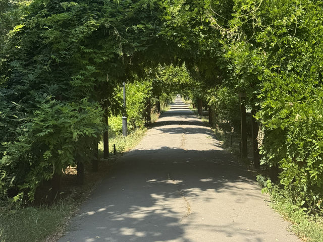 PALACE OF GALERIUS – WHERE ANCIENT ROME MEETS MODERN THESSALONIKI 🏛️✨
