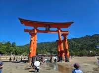 #원폭의 도시 히로시마에는 왜 사슴이 살까?