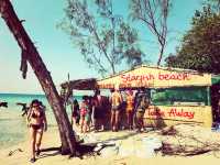 越南🇻🇳海星沙灘