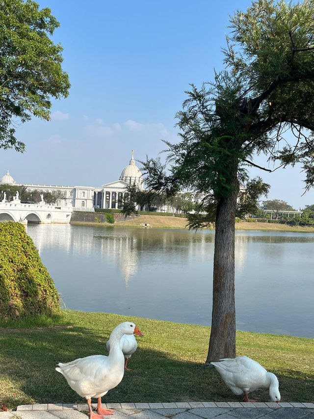 Chimei Park Stroll After Festive Shopping Chimei Park Stroll After Festive Shopping