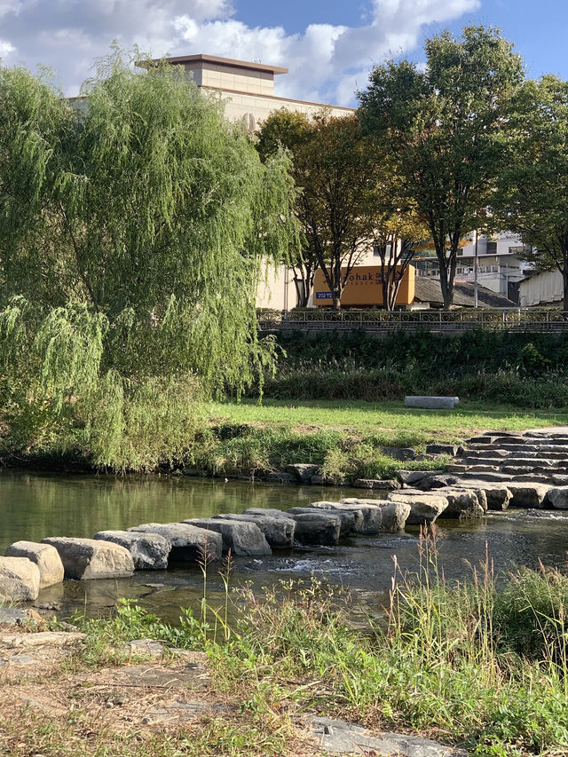전주 따릉이 여행 코스 🚲 전주 따릉이 여행 코스 🚲