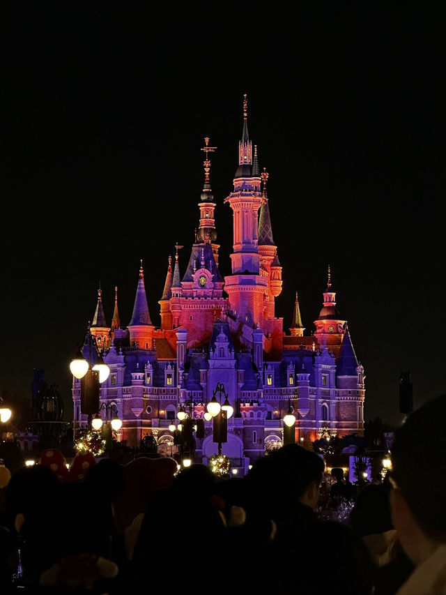 上海迪士尼樂園一日遊記:夢幻與現實的奇妙碰撞 上海迪士尼樂園一日遊記:夢幻與現實的奇妙碰撞