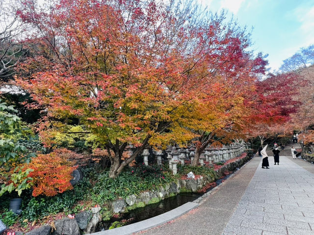 勝尾寺 応頂山 勝尾寺 勝尾寺 応頂山 勝尾寺