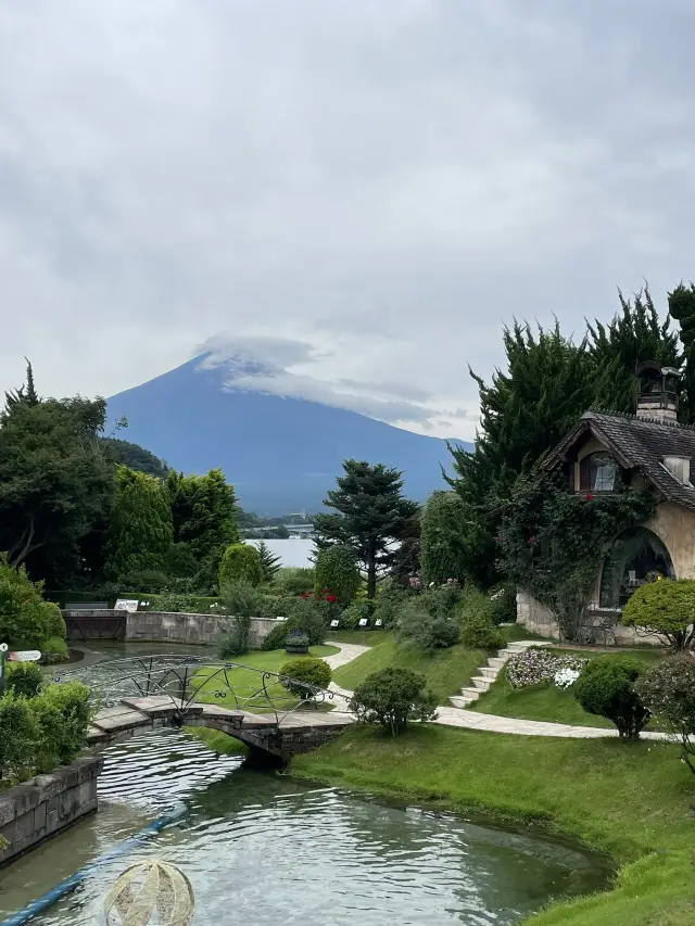 晴日湖畔限定展覽必看