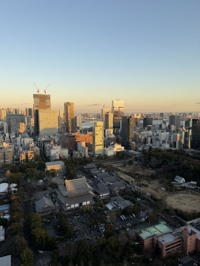Tokyo Tower: Sunset Vibes & City Lights 🌆✨