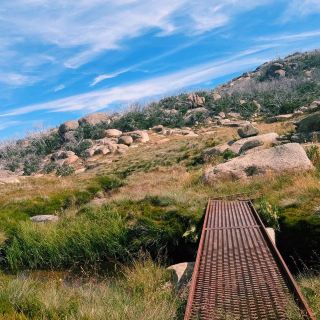 Mt Buffalo National Park