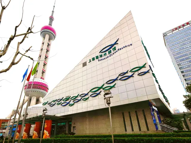 Shanghai Ocean Aquarium – Fun, Busy, and Perfect for Kids!