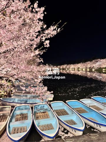 死ぬまでに見たい絶景】日本一の桜🌸🏯 | Trip.com 弘前