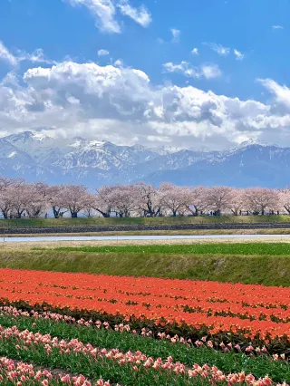富山県観光ガイド2026年：人気スポット、グルメ、ホテル、天気など