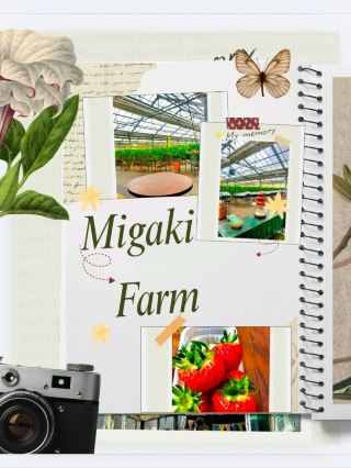Migaki Farm (ICHIGO WORLD)