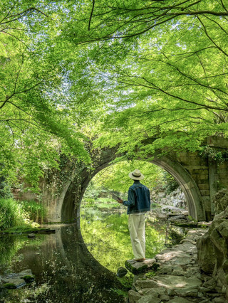 迷失在杭州西湖的美景中。 🌿🏯