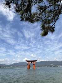 JR Kansai–Hiroshima Area Pass คุ้มไหม?