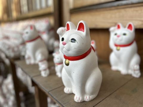 Tokyo: Must-Visit Sanctuaries for Cat Lovers. | Trip.com Tokyo