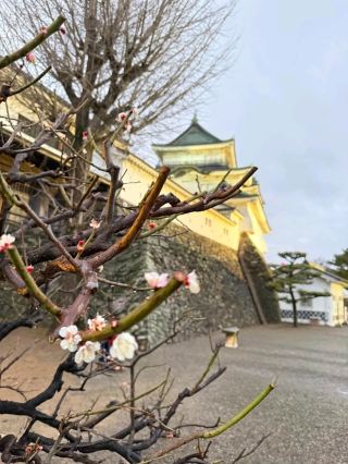 Wakayama Kanze Temple, Koyasan