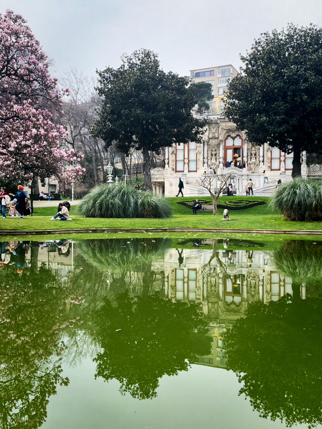 🌸 📸 EVERYTHING YOU NEED TO KNOW TO SEE MAGNOLIA BLOSSOMS IN İHLAMUR KASRI