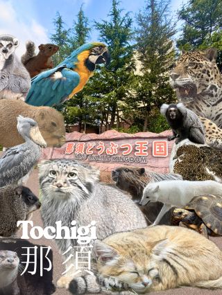 【栃木・那須】大自然の中で珍しい動物に出会える体験