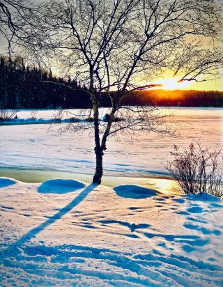USA Colorado Front Range Brainard Lake Mossy Long Lake Foresteasytravelpost #BrainardLake #LongLake