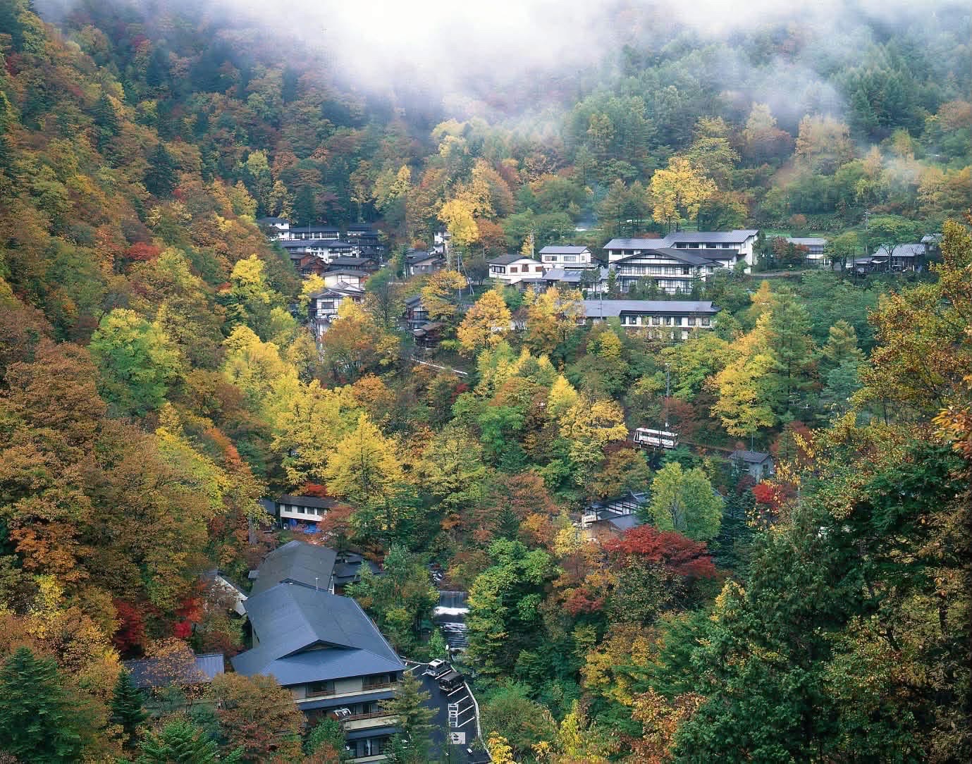 長野🇯🇵 乳白色名湯秘境 白骨溫泉♨️