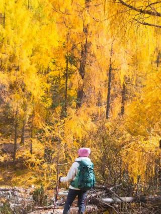 #planitorwingit 

exploring Danba during golden autumn is an absolute dream 🍂✨ The radiant foliage and sun-drenched valleys turn this mountain escape into a living postcard. My top spot: Dangling Village, a gem in Bian'er Township (Ganzi Tibetan Autonomous Prefecture). This isn’t your typical tourist run—expect real Tibetan vibes, traditional stone houses, and endless jaw-dropping landscapes.

Must-See: Dangling Village  
Address: Bian’er Township, Danba County, Ganzi Tibetan Autonomous Prefecture  
Opening Hours: All day, year round

Tip: If you love autumn colors, visit between late September and early November. The golden leaves are at their brightest, making every photo pop.

Getting Around: Local buses run between Danba and Bian'er Township daily. The ride is short and scenic. If you’re up for adventure, rent a car for more freedom—just be ready for mountain roads!

Food: Try yak butter tea and barley bread at small village eateries—unique, hearty, and 100% Tibetan. Don’t miss local walnuts and fruit from street vendors, especially in autumn.

Extra Hacks:  
· Bring layers (weather can turn chilly, especially evenings)  
· Carry cash; card payments are rare in smaller spots  
· Go early morning for the best light and fewer crowds

Danba's golden autumn scenery is a photographer’s paradise and a peaceful retreat. Trip.com makes booking hotels here super smooth!

#DanbaMagic  #GoldenAutumnDanba  #ChinaTravel  #Tripcom  #TibetanVillageVibes 