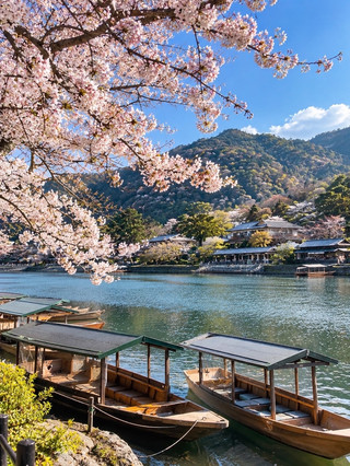 교토 아라시야마(Arashiyama)