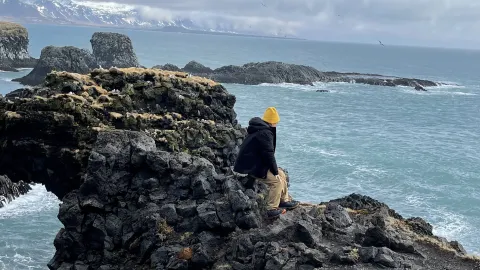 🇮🇸 Arnarstapi Cliff | Iceland 🌊 — traveler post in Arnarstapi