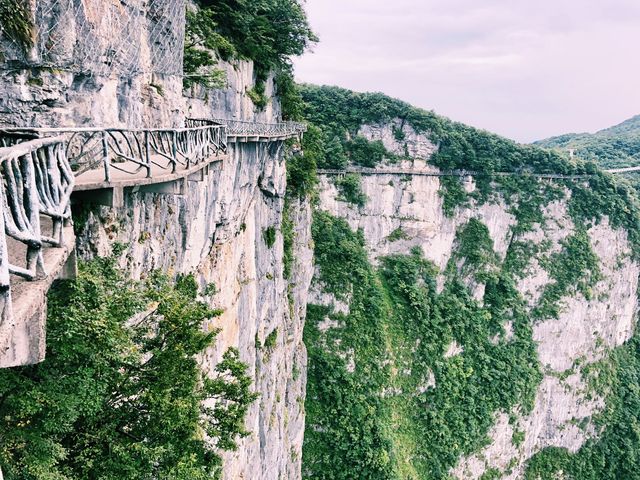 THE CLIFF HANGING WALKWAY😱