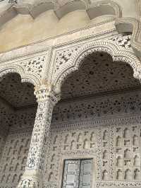 Red Hot Agra Fort 🔥 