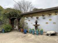 加州弗里蒙特市郊狼山區域公園