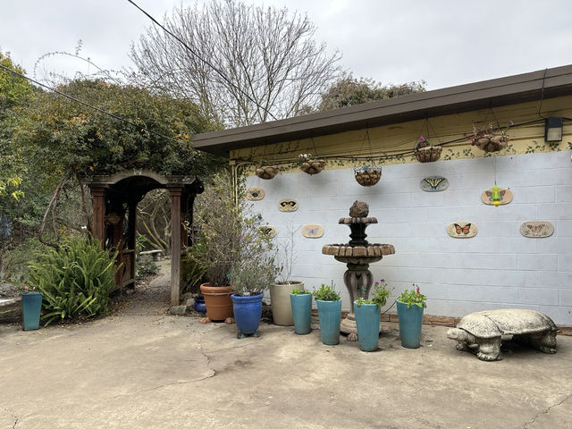 加州弗里蒙特市郊狼山區域公園