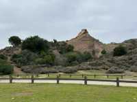 加州弗里蒙特市郊狼山區域公園