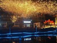 Golden Dreams: Fireworks over Yuanboyuan Park!