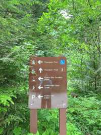 🇨🇦North Vancouver에 꼭 가봐야할 폭포Shannon falls park🎈
