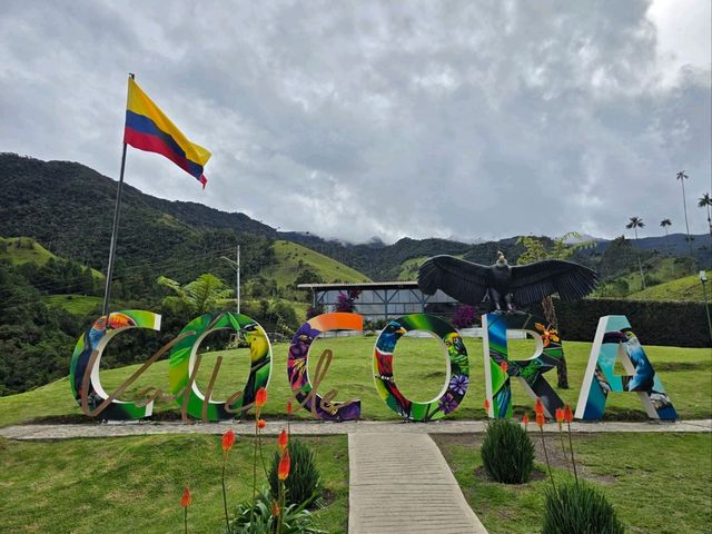 🌟走進《魔法滿屋》的一天｜La Carbonera & Cocora Valley 棕櫚樹仙境攻略 🇨🇴