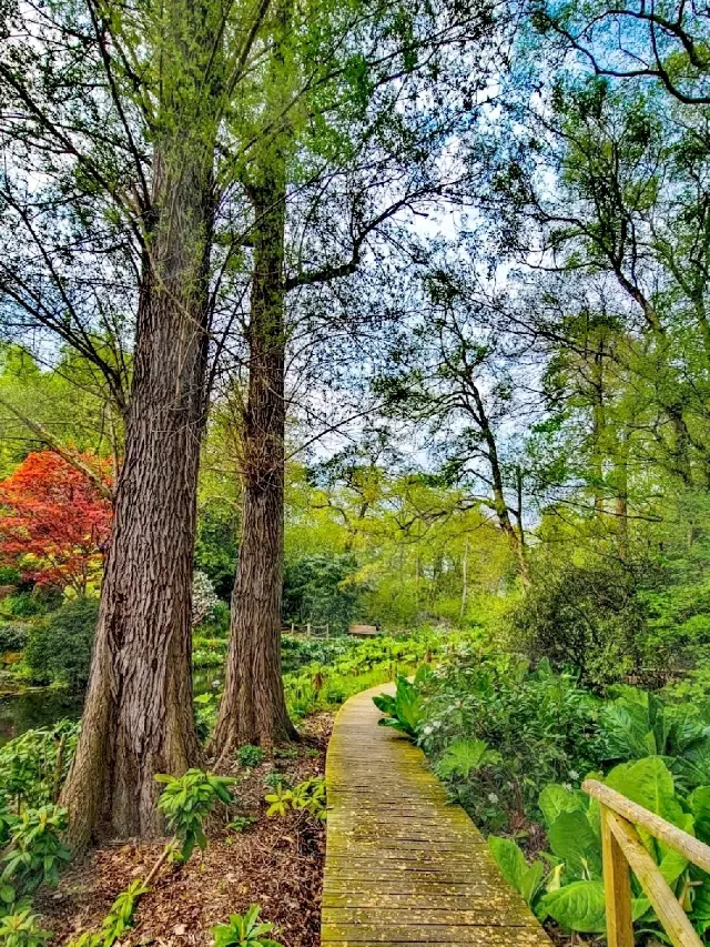 Winterbourne House & Garden